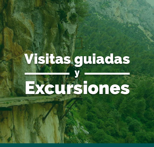 Visitas guiadas y excursiones