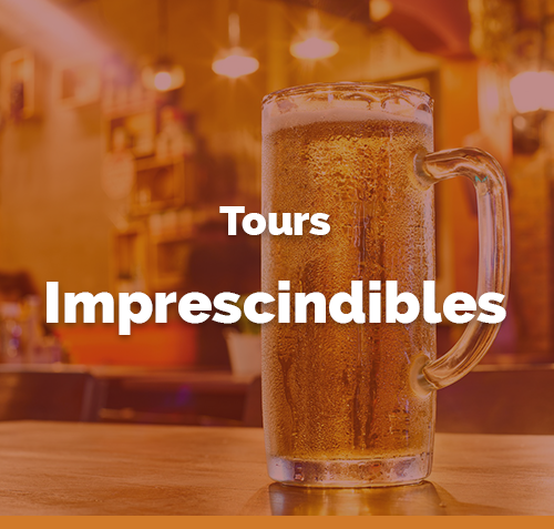 Tours Regulares