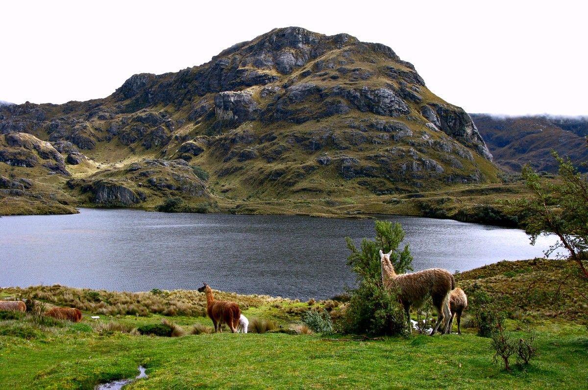 Cajas-National-Park-Full-Day-Trip-1