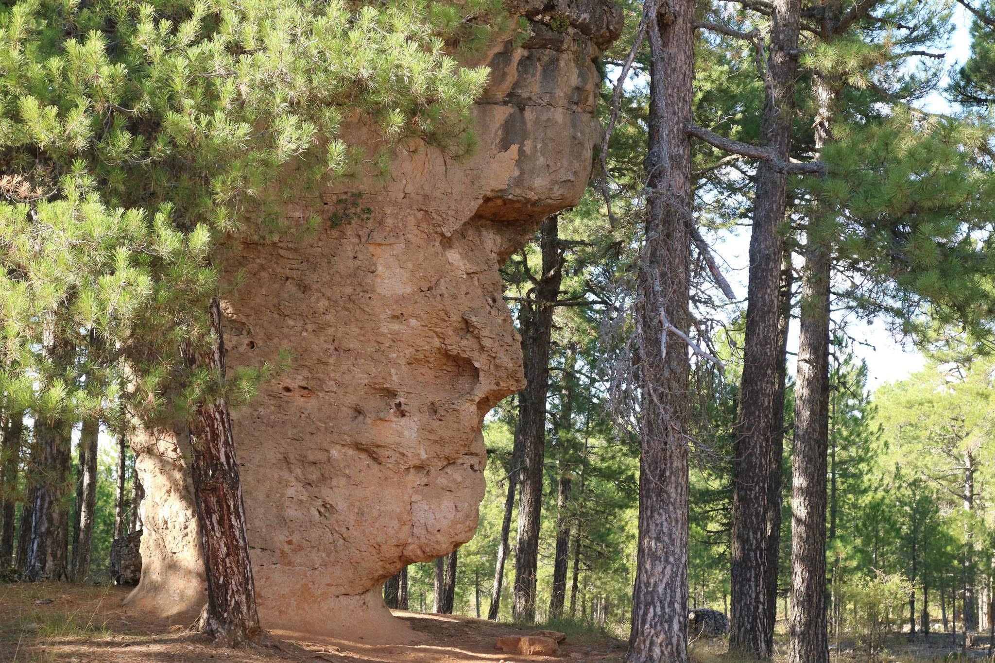 Excursion-al-Rio-Cuervo-y-Ciudad-Encantada-10