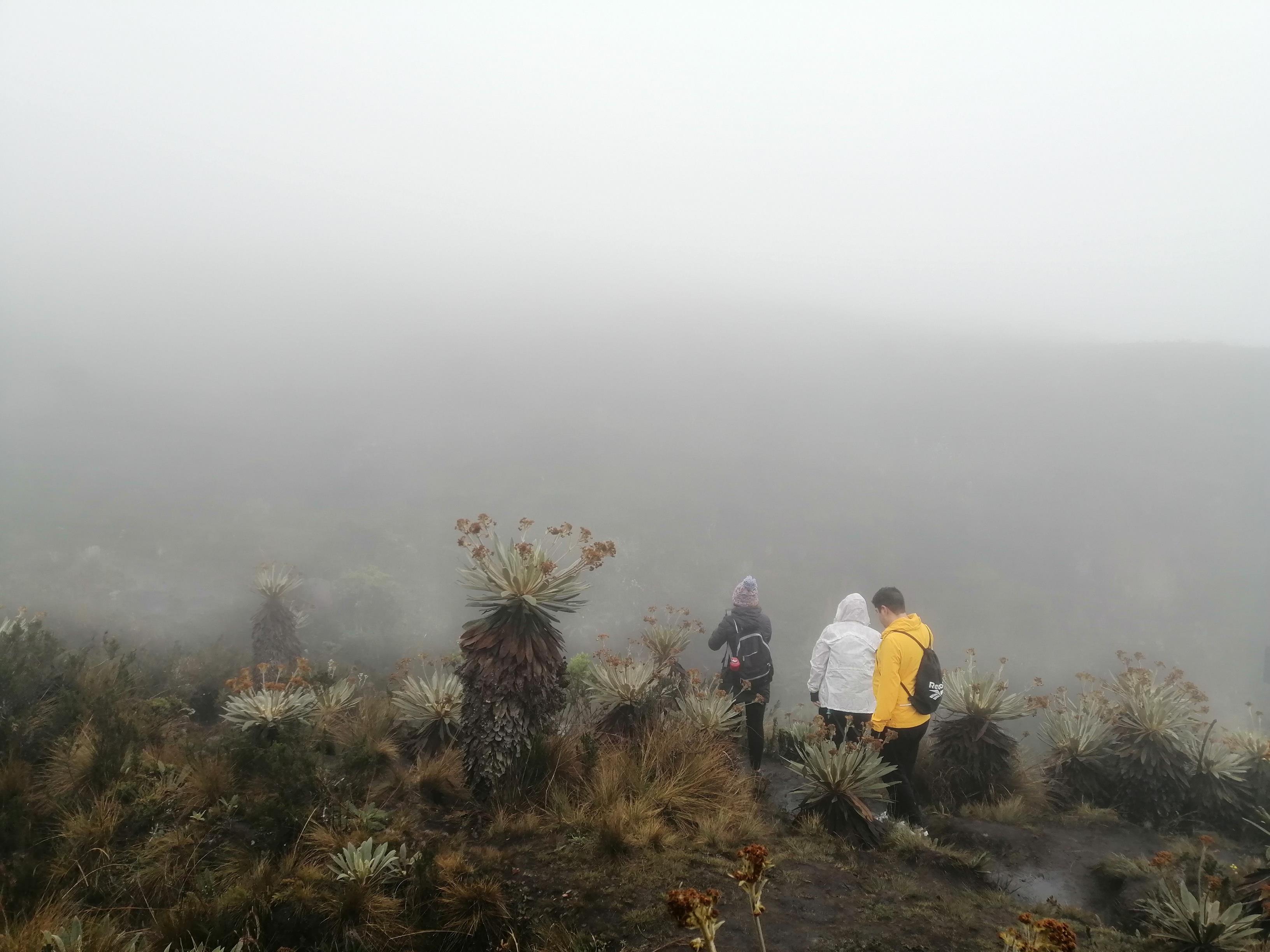 Trekking-in-the-Cruz-Verde-Paramo-of-Bogota-1