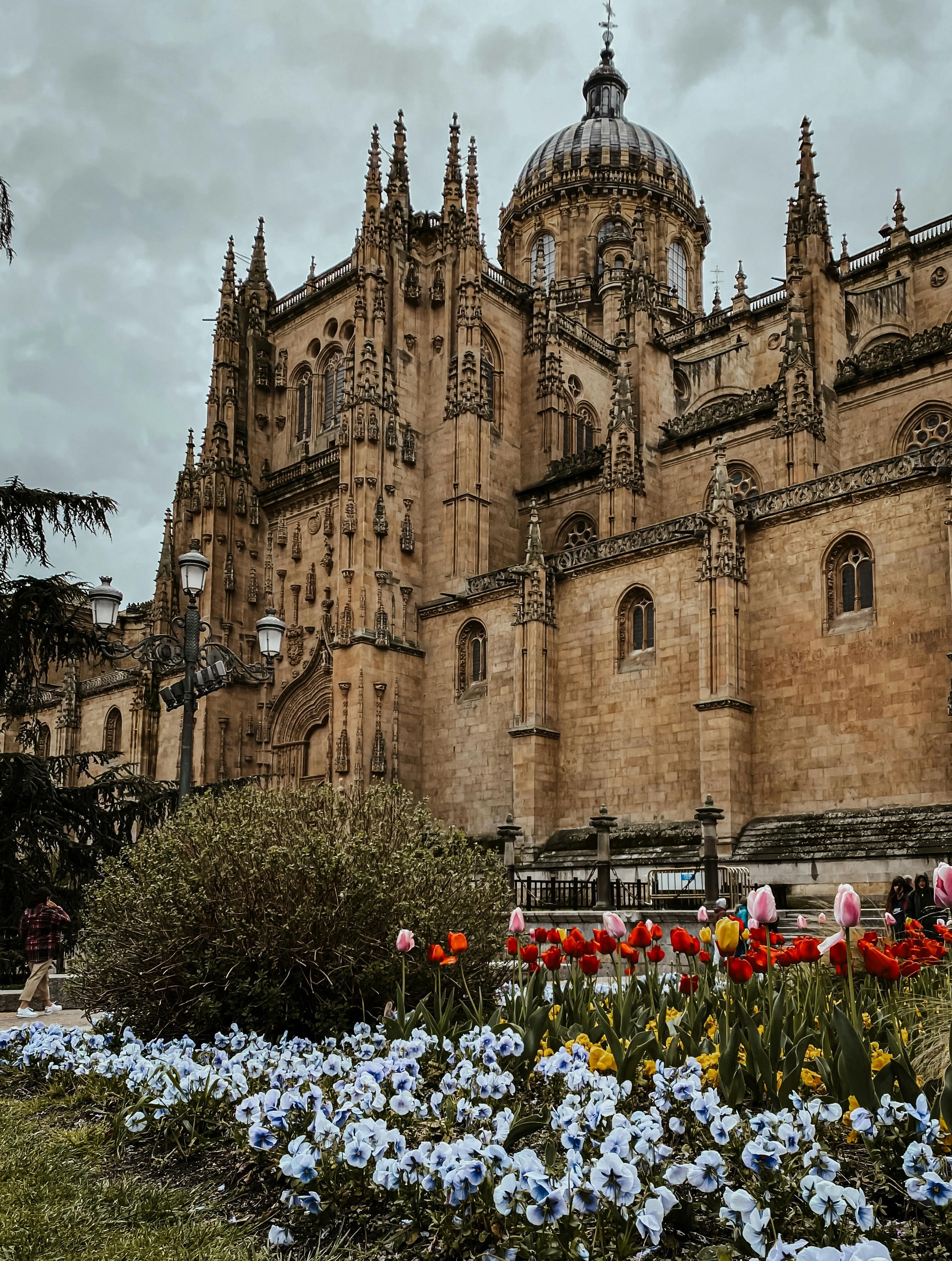 Salamanca by Free Tour