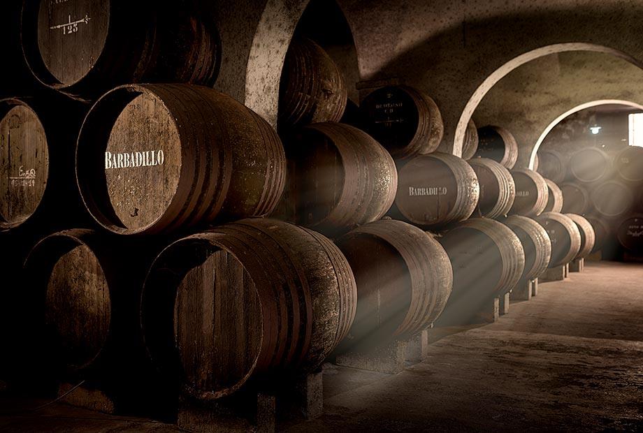 Bodegas-Barbadillo-Guided-Tour-2