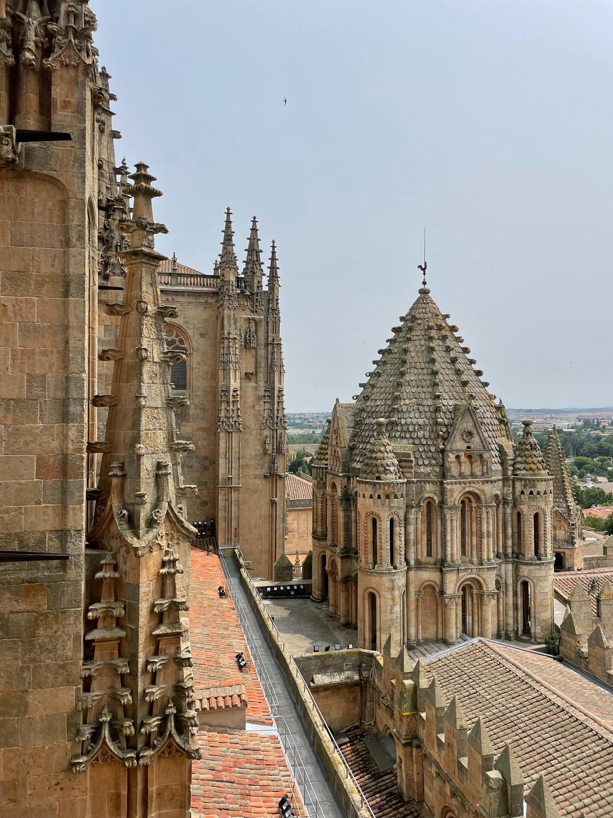 Visita Privada por Salamanca