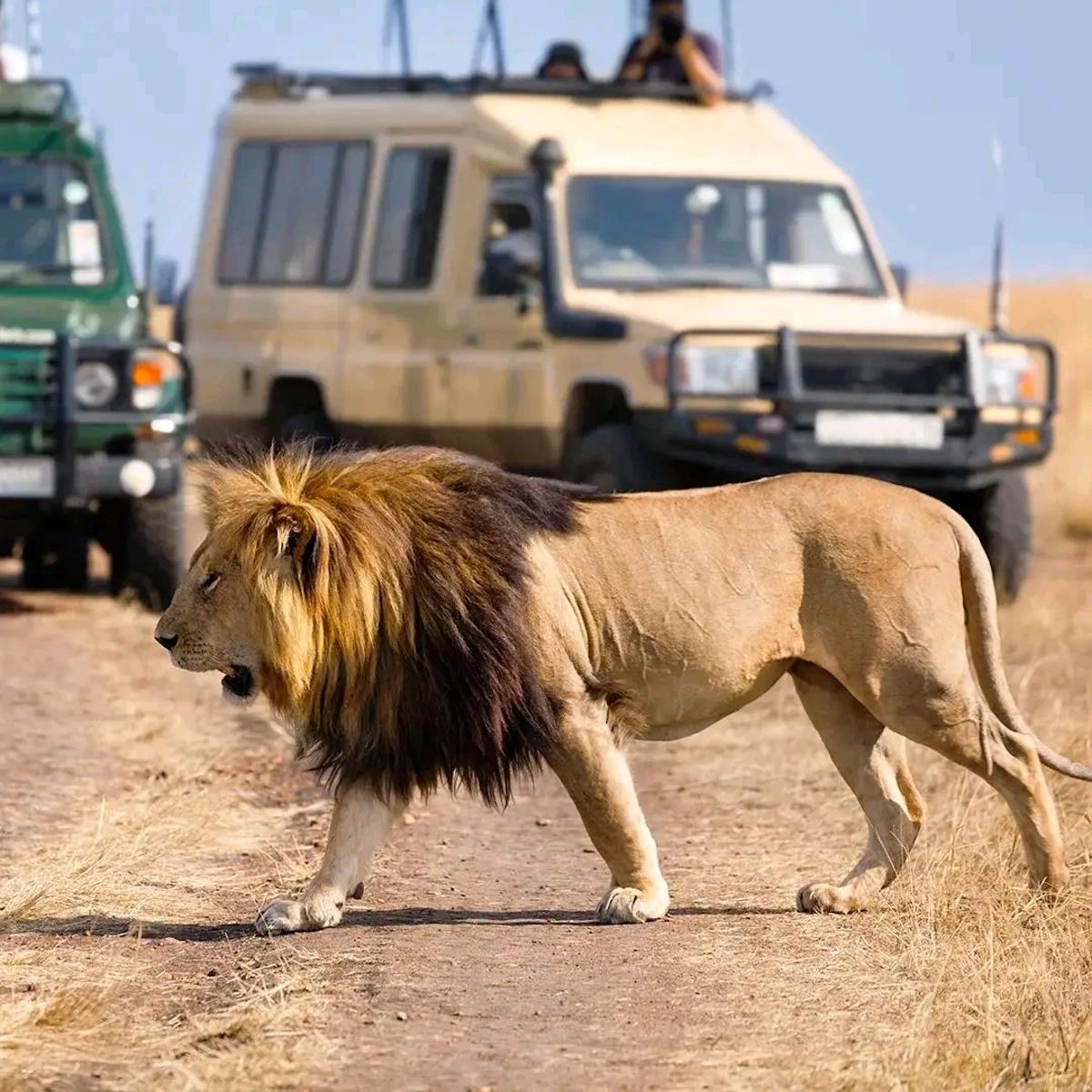 7-days-Safari-in-Serengeti-National-Park-1
