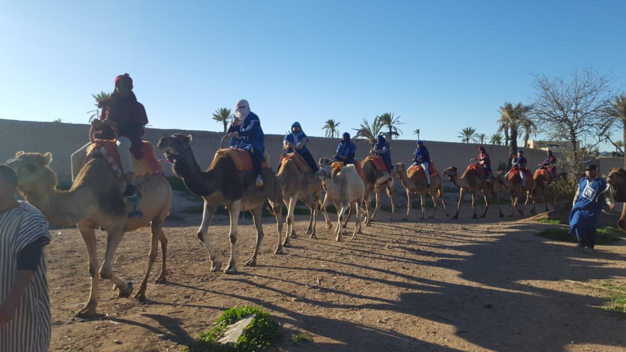 Experiencia en Camello por el Palmeral Marrakech