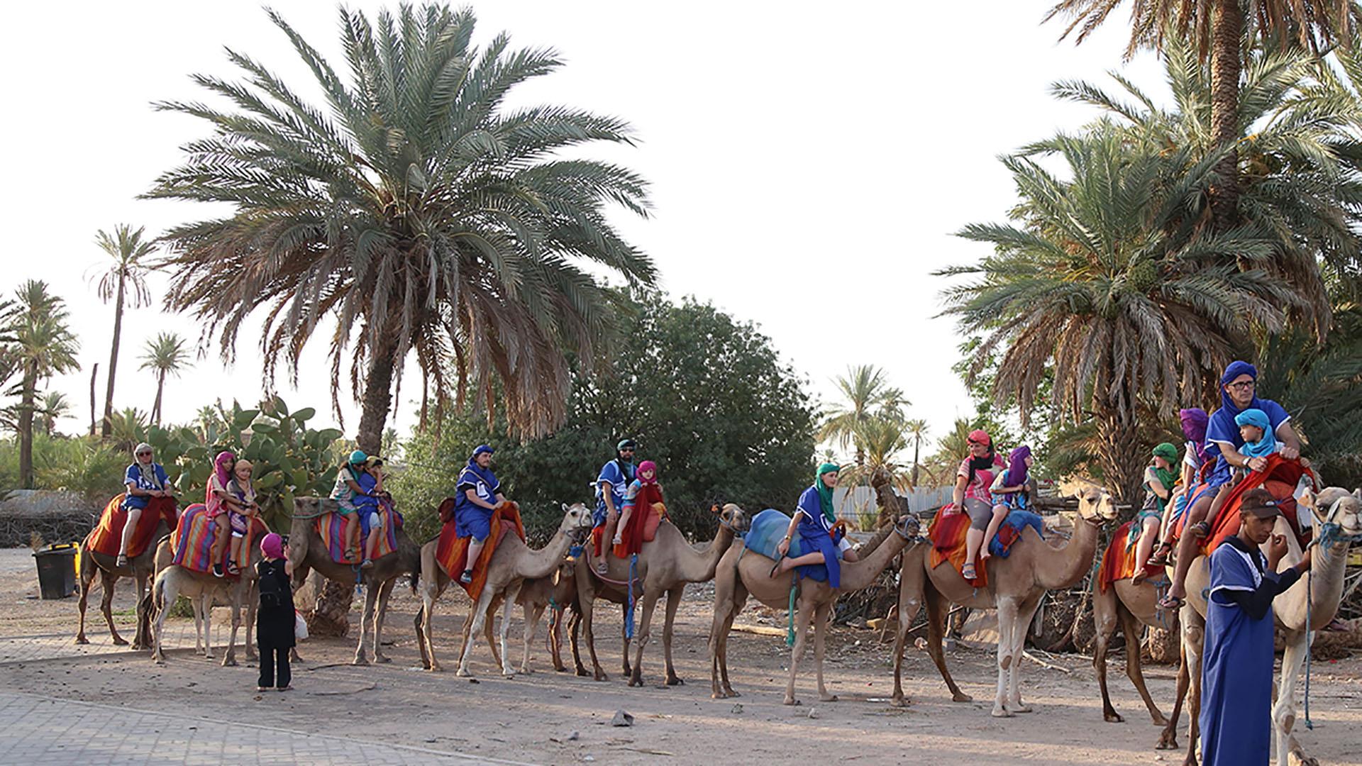Marrakech-Camel-Rides-Experience-9