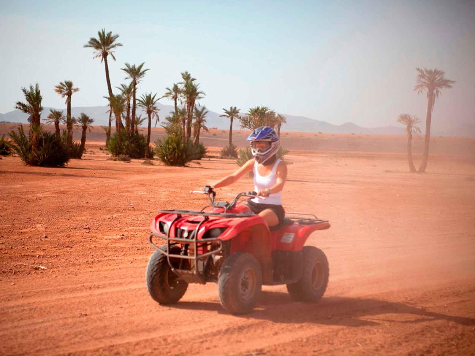 Quad Experience in the Palmerie of Marrakech