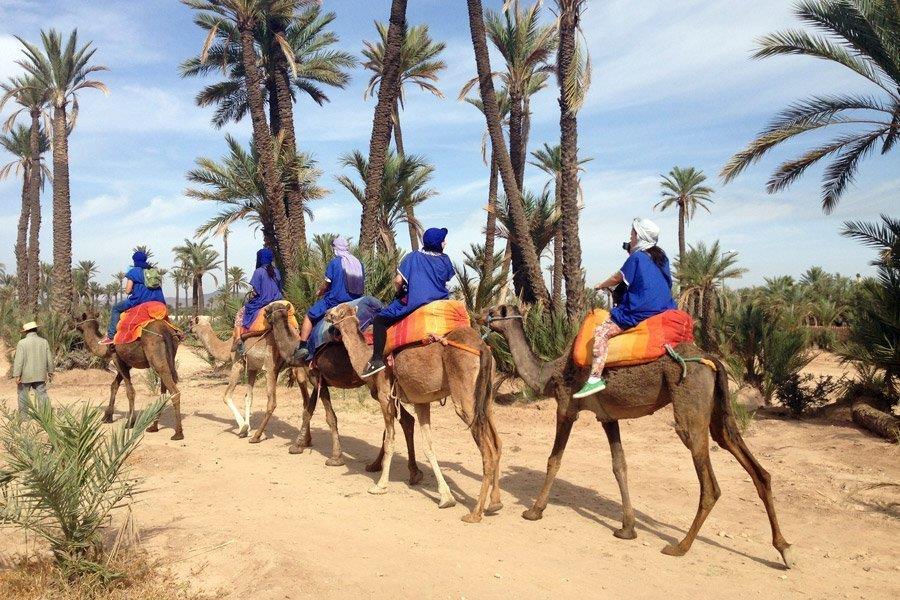 Experiencia-en-Camello-Marrakech-por-el-Palmeral-5