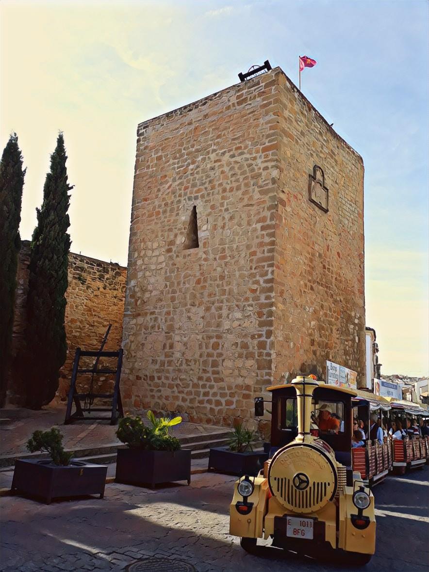 Guided-Visit-in-Baeza-with-Olive-Oil-Tasting-3