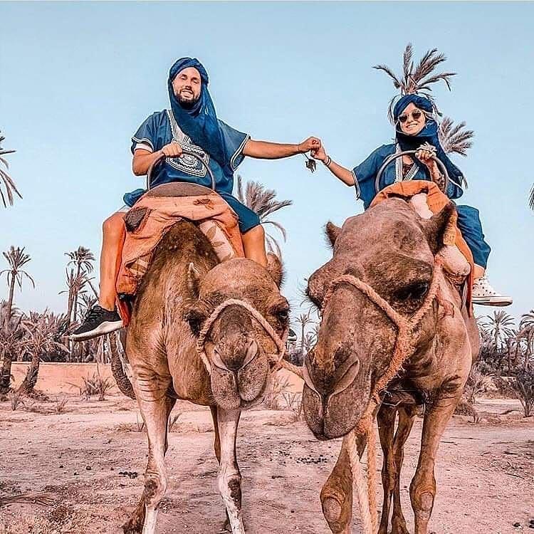 Experiencia-en-Camello-Marrakech-por-el-Palmeral-2