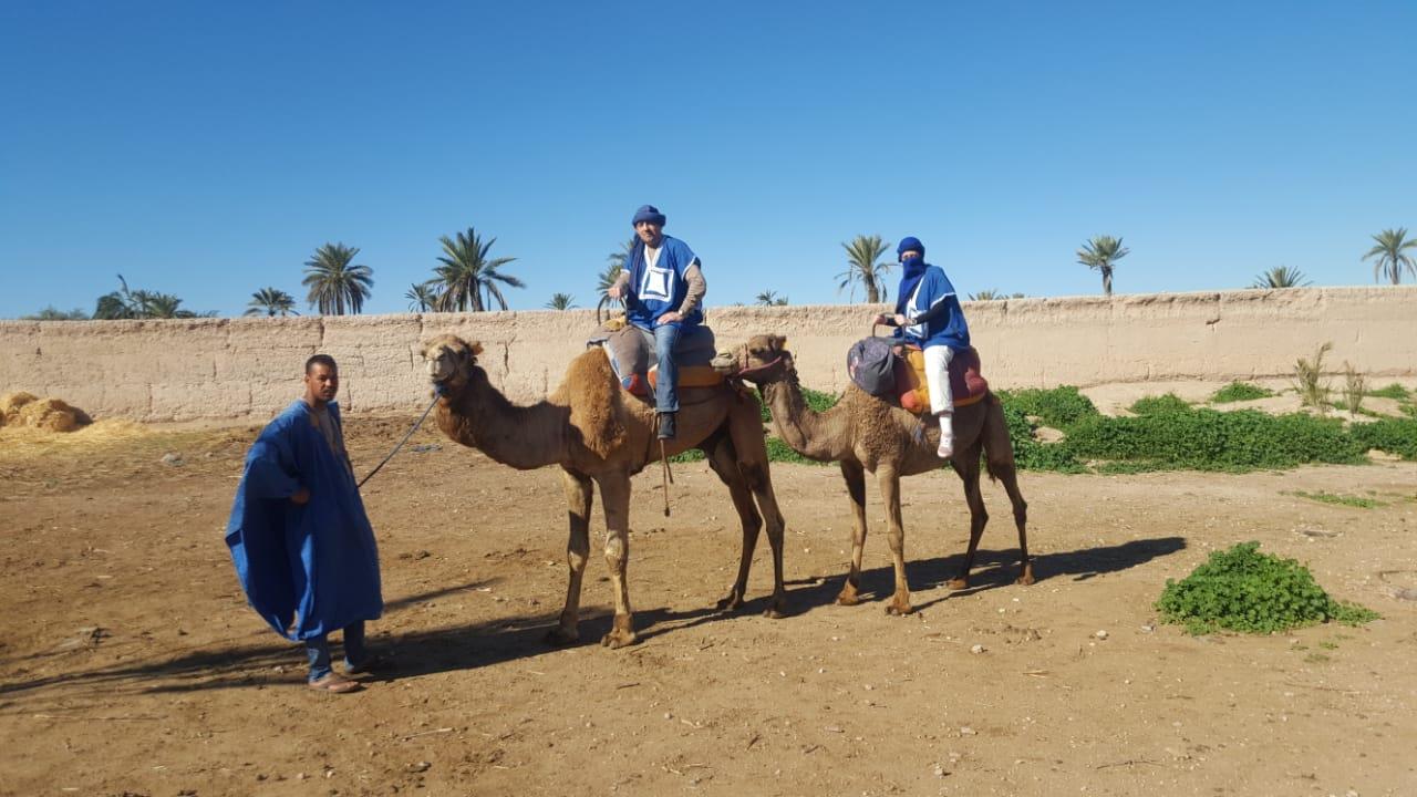 Experiencia-en-Camello-Marrakech-por-el-Palmeral-6