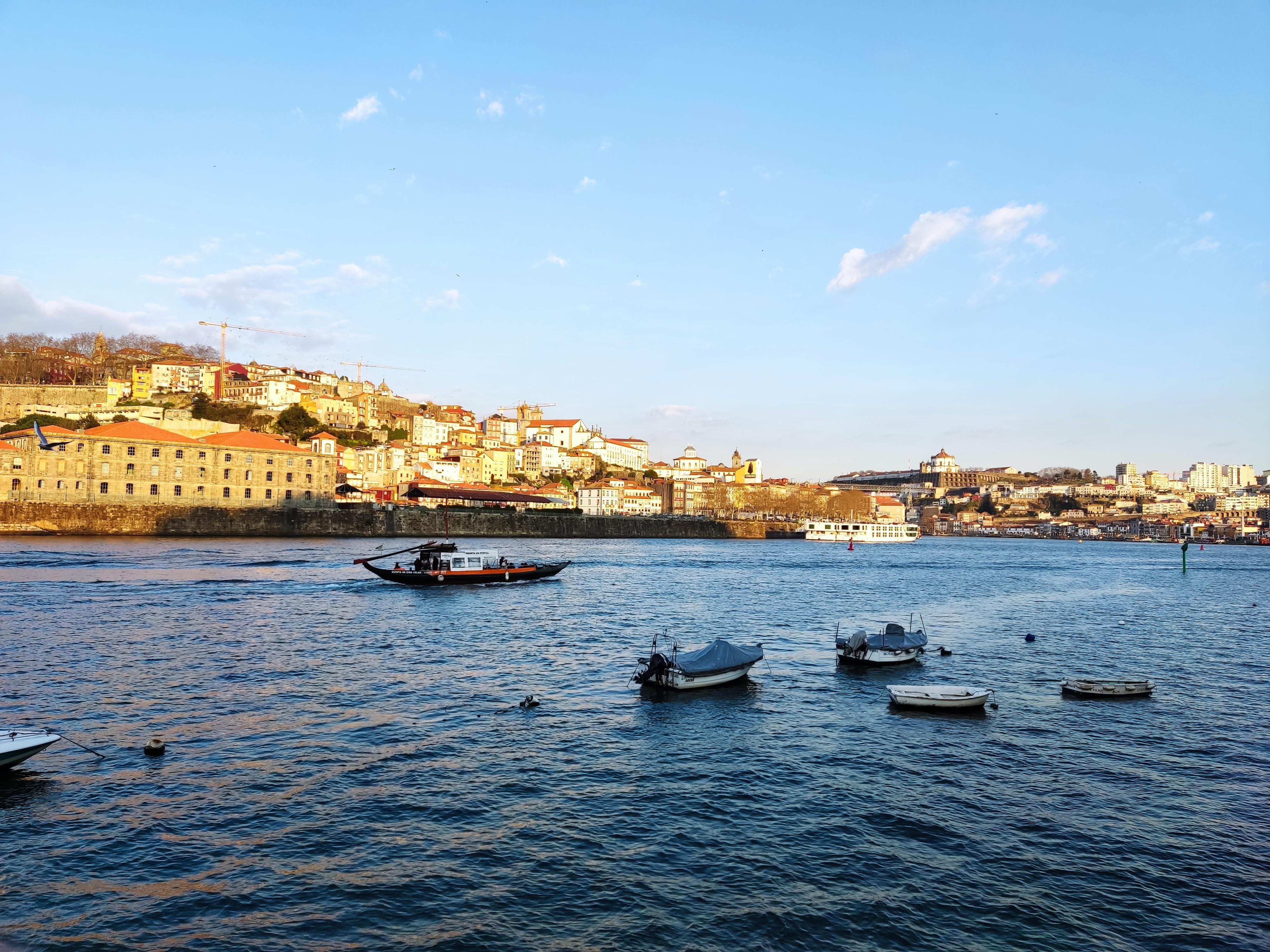 Free Tour Oporto: Historia, Cultura y Vida Local