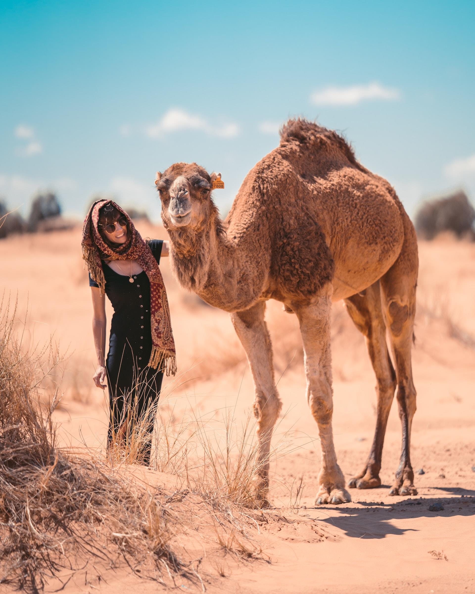 Excursion-4-dias-Desierto-Merzouga-desde-Marrakech-3