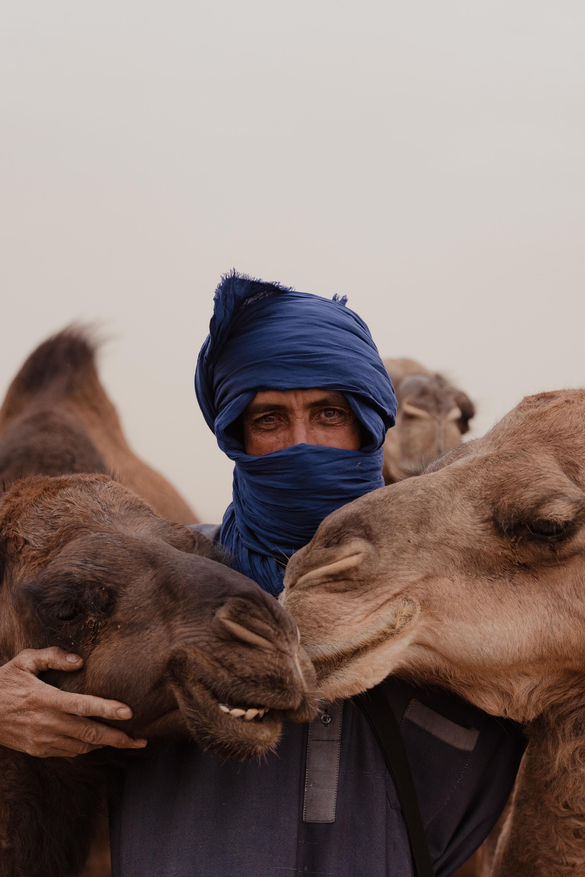 camel-ride-in-the-palm-grove-of-marrakech-5