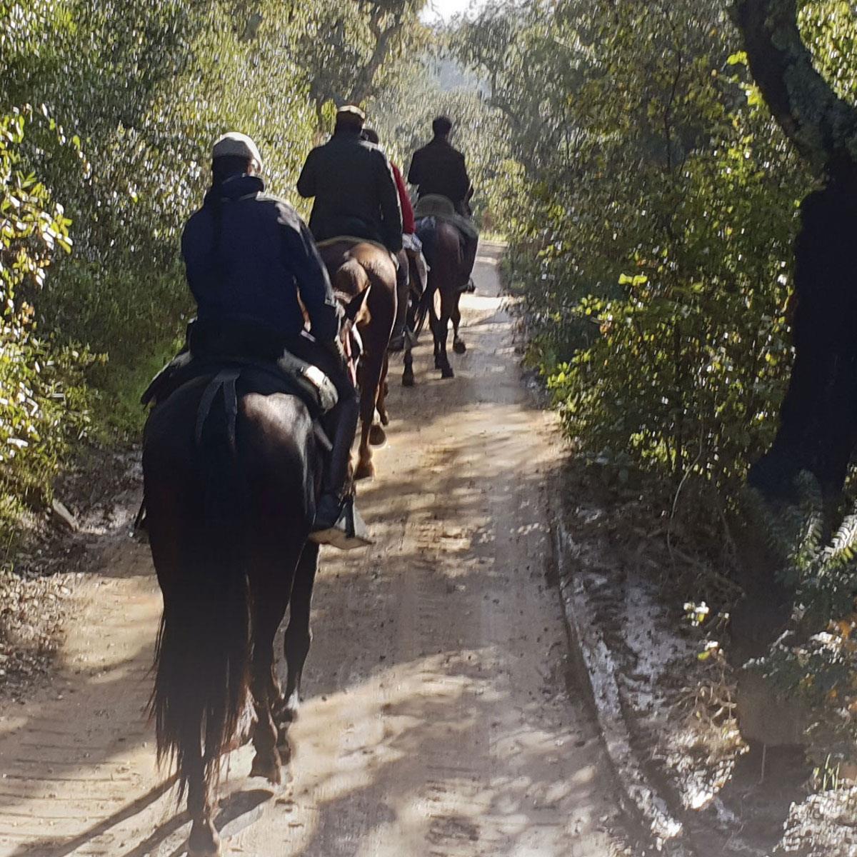 Ruta a caballo por El Bosque de Las Pinedas