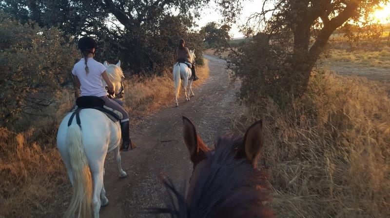 Ruta-a-caballo-por-El-Bosque-de-Las-Pinedas-1