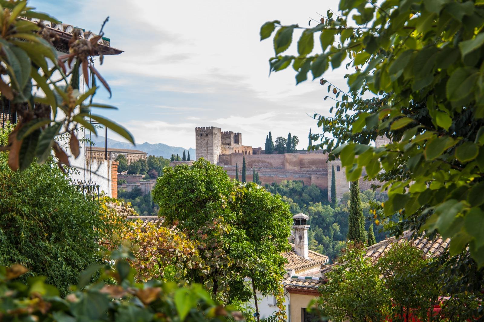 Granada-y-Alhambra-desde-Sevilla-4