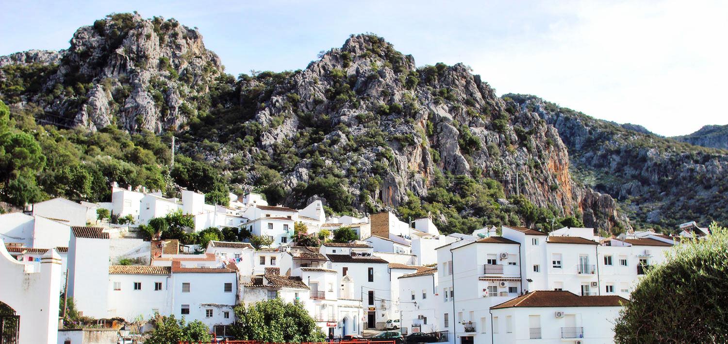 From Seville: White Villages and Ronda full day