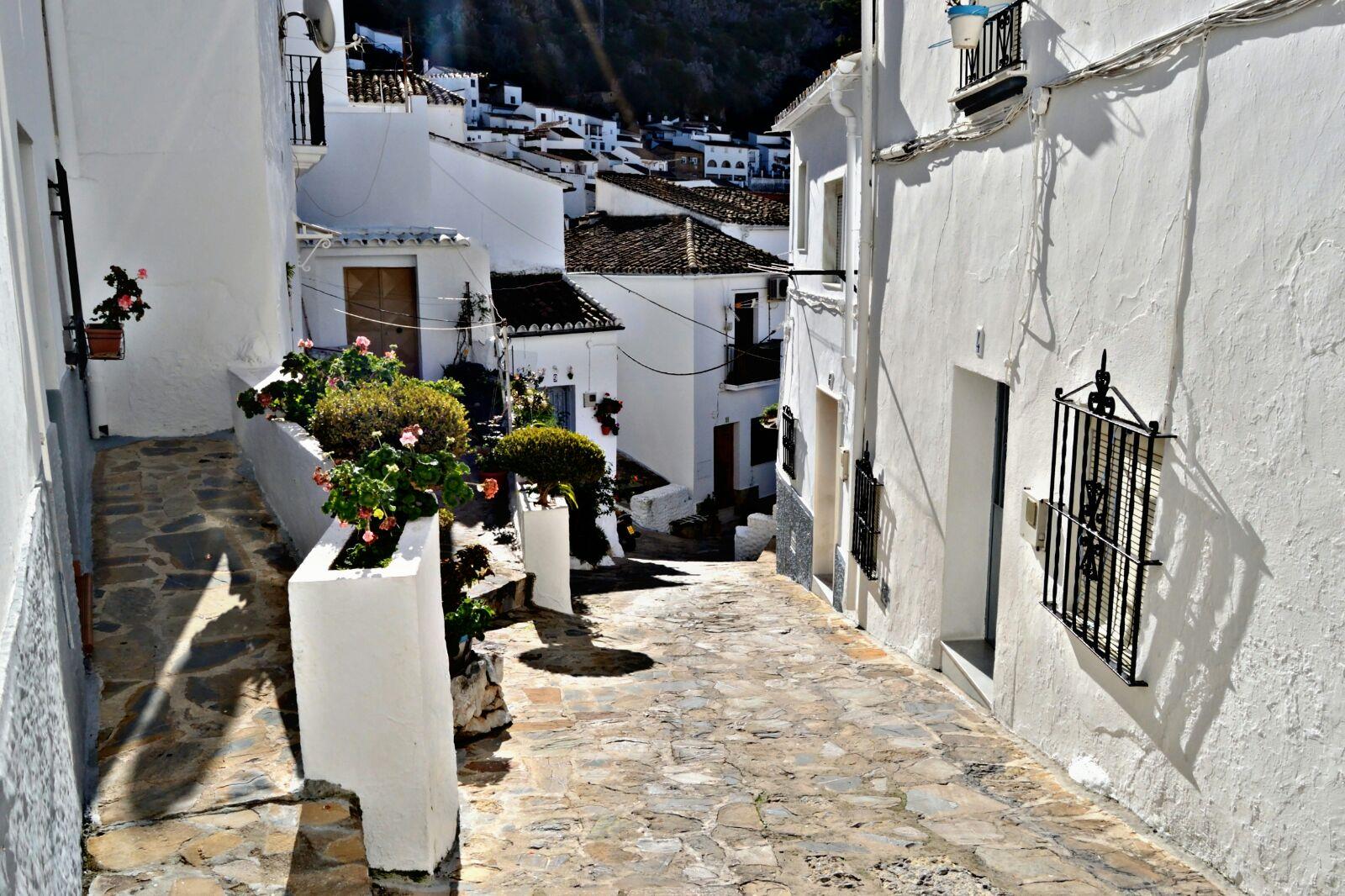 From-Seville:-White-Villages-and-Ronda-full-day-6