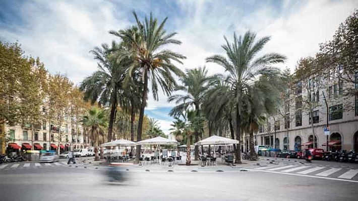 barcelona-free-bike-tour-3