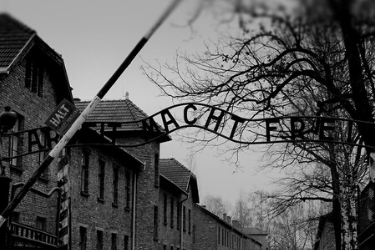 16 Auschwitz-Birkenau.png