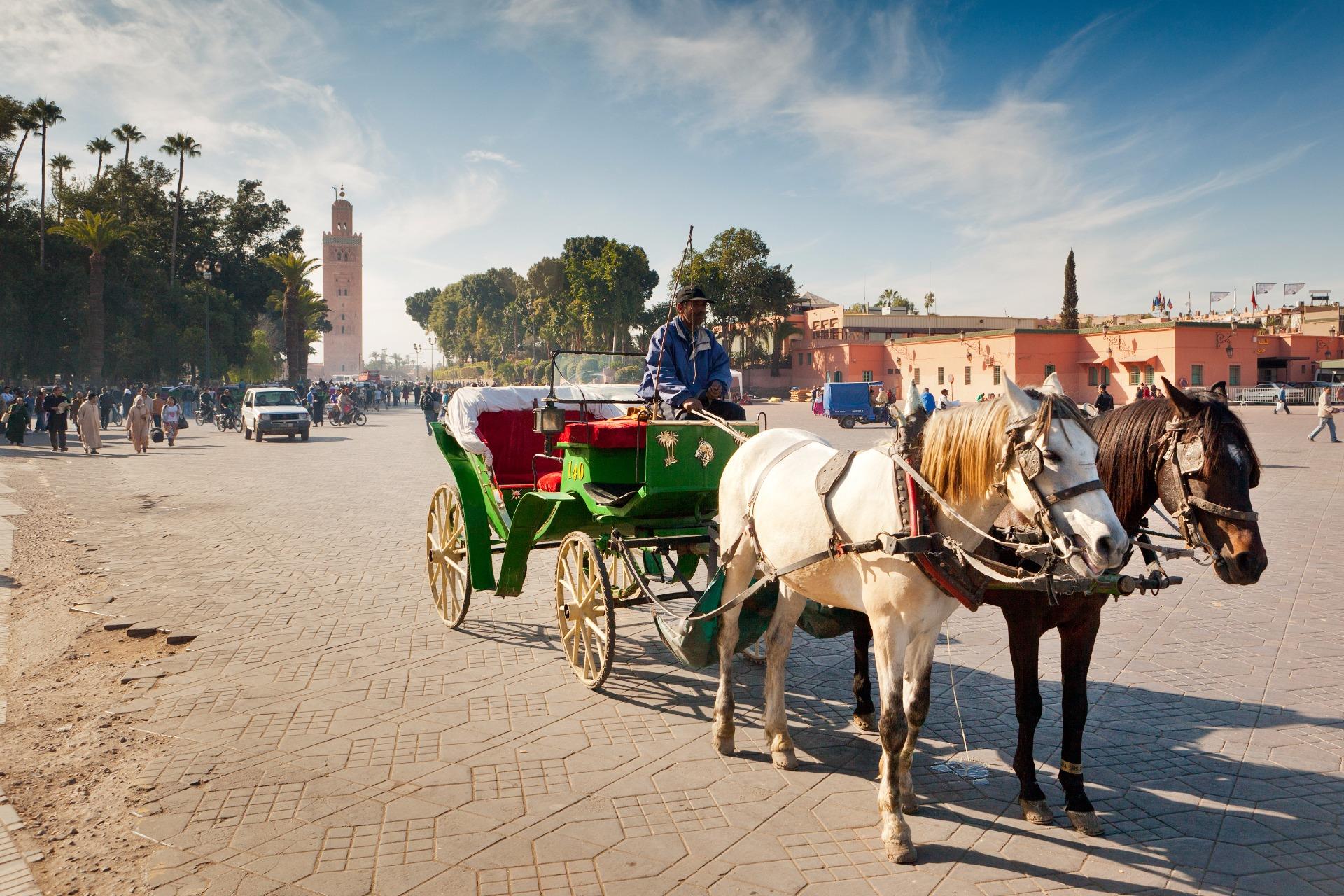 marrakech-buggy-experience-8