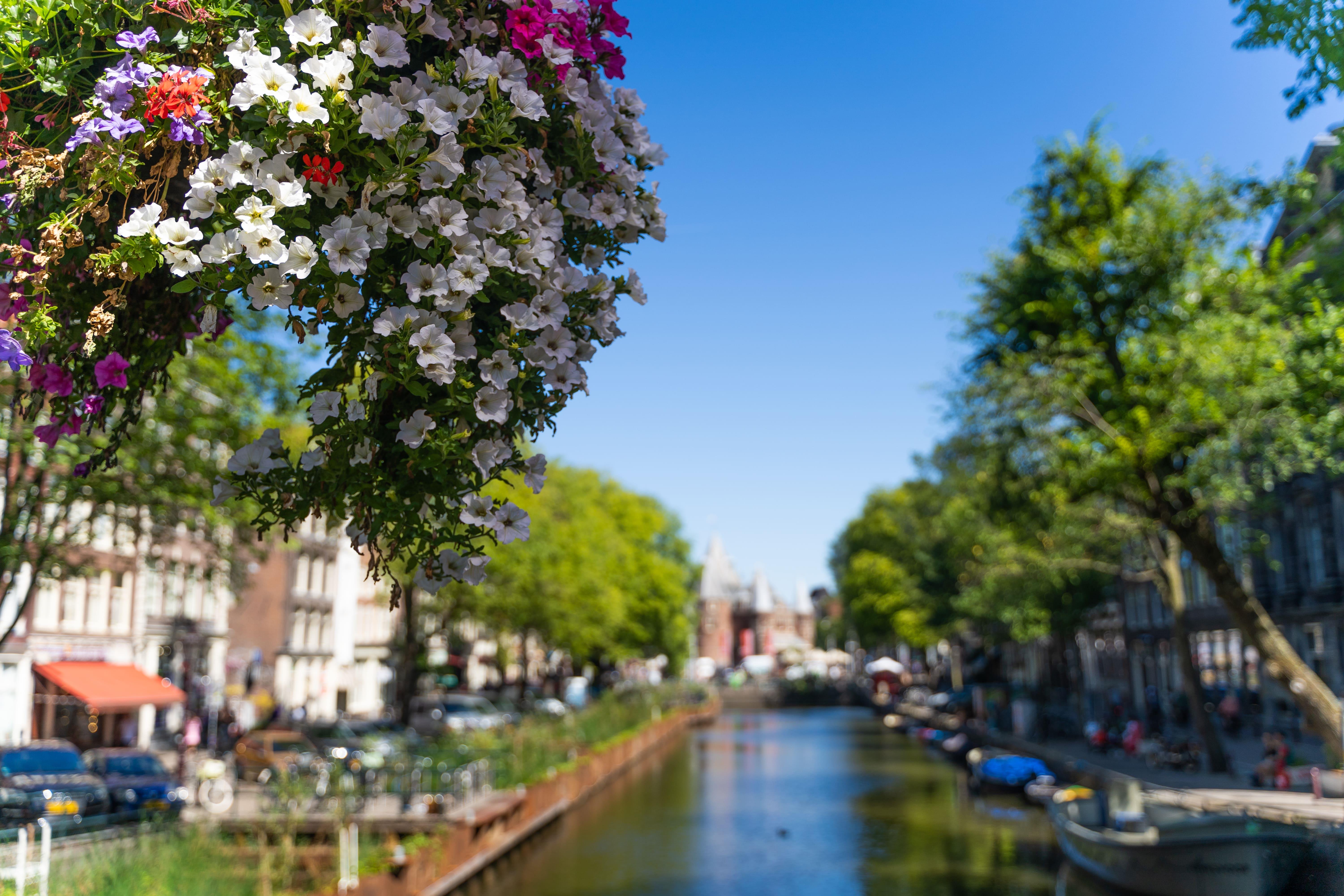 Tour-a-pier-por-Amsterdam-con-paseo-en-barco-10