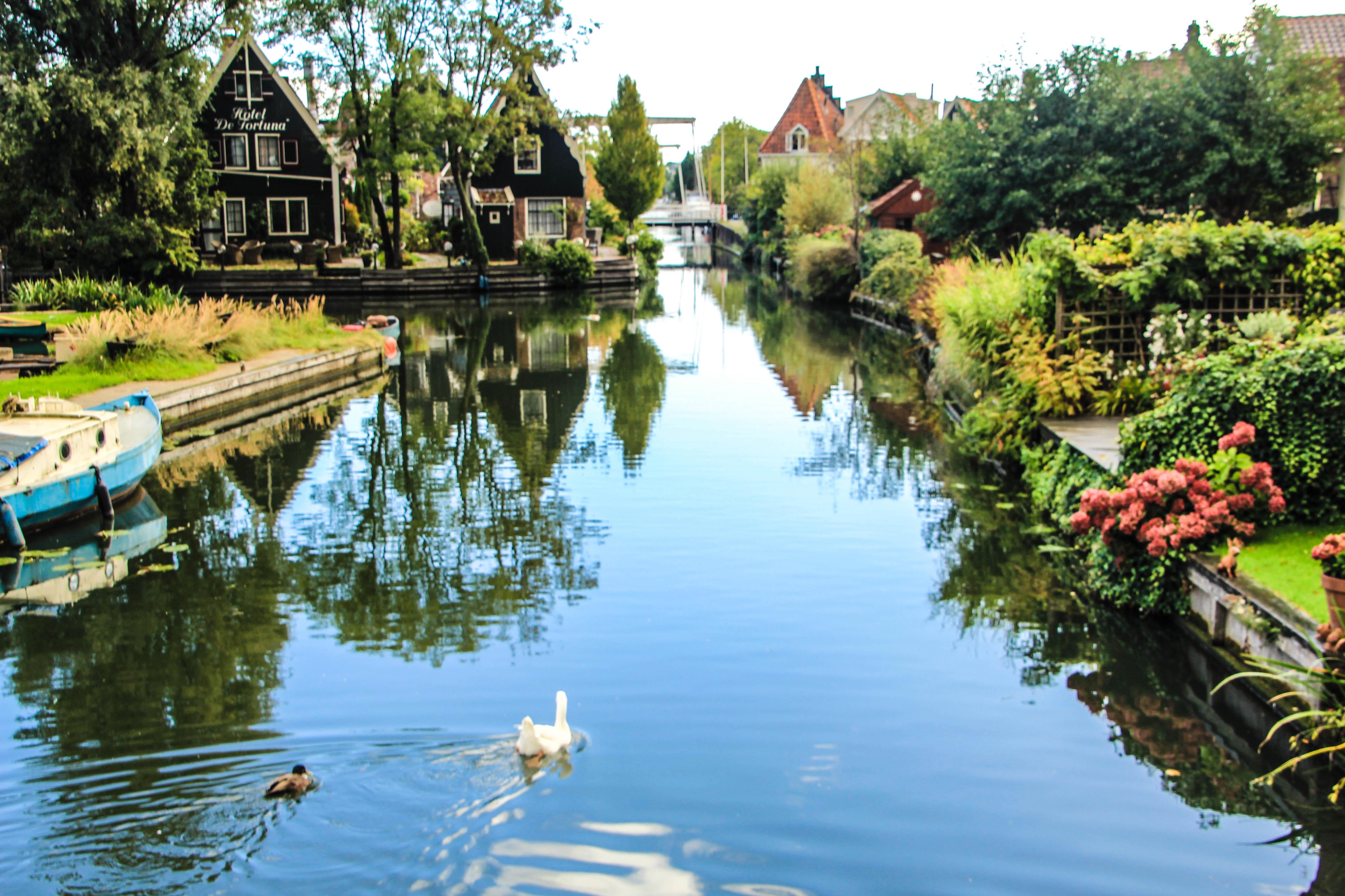 Tour-Dutch-countryside-with-Amsterdam-canal-cruise-6