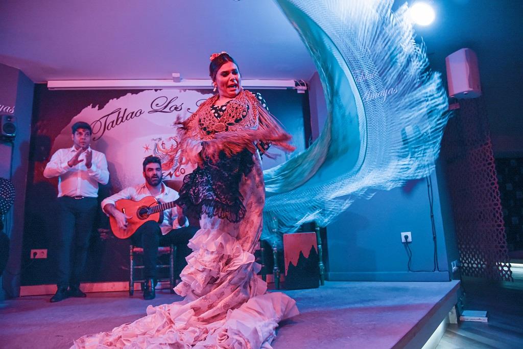 Tour-de-Tapas,-Vinos-y-Flamenco-en-Malaga-5