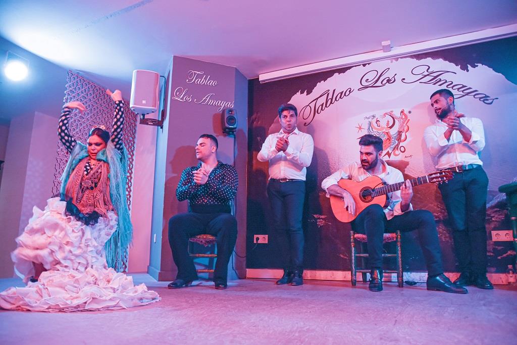Tour-de-Tapas,-Vinos-y-Flamenco-en-Malaga-3
