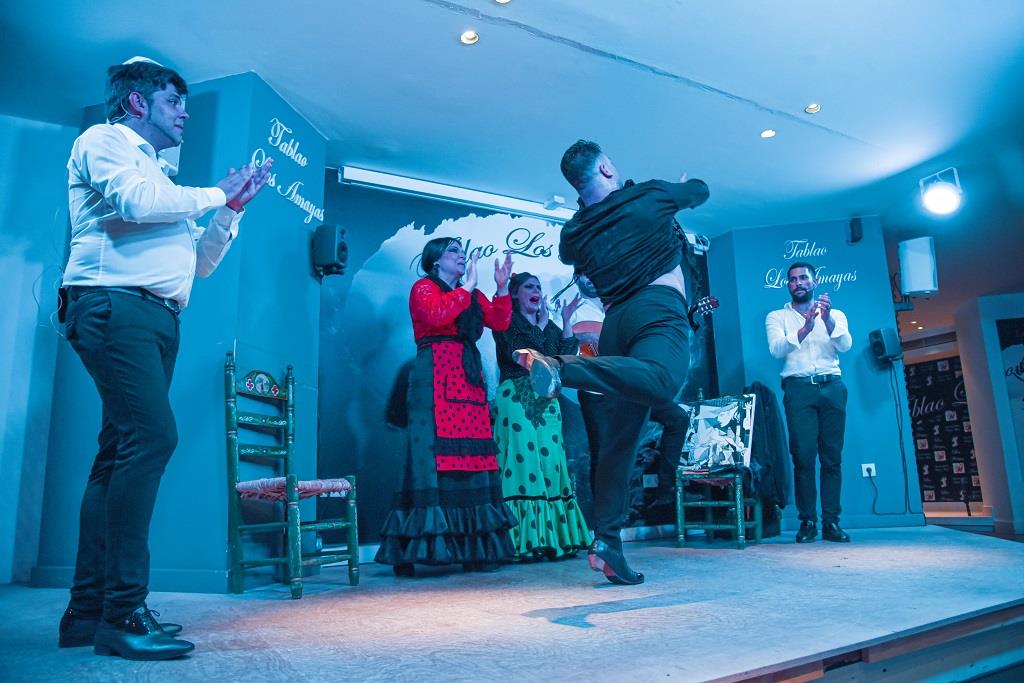 Tour-de-Tapas,-Vinos-y-Flamenco-en-Malaga-31