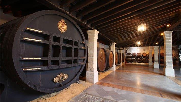 wineries-tio-pepe-tour-6