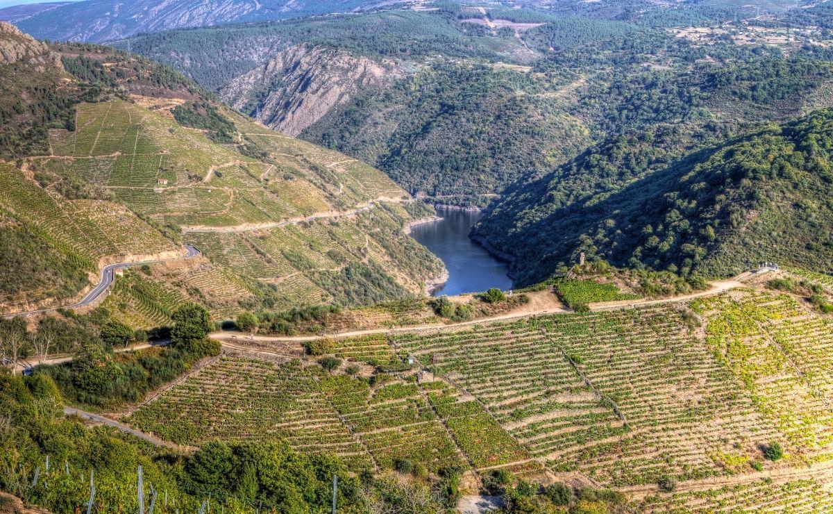 Excursión a la Ribeira Sacra desde Lugo