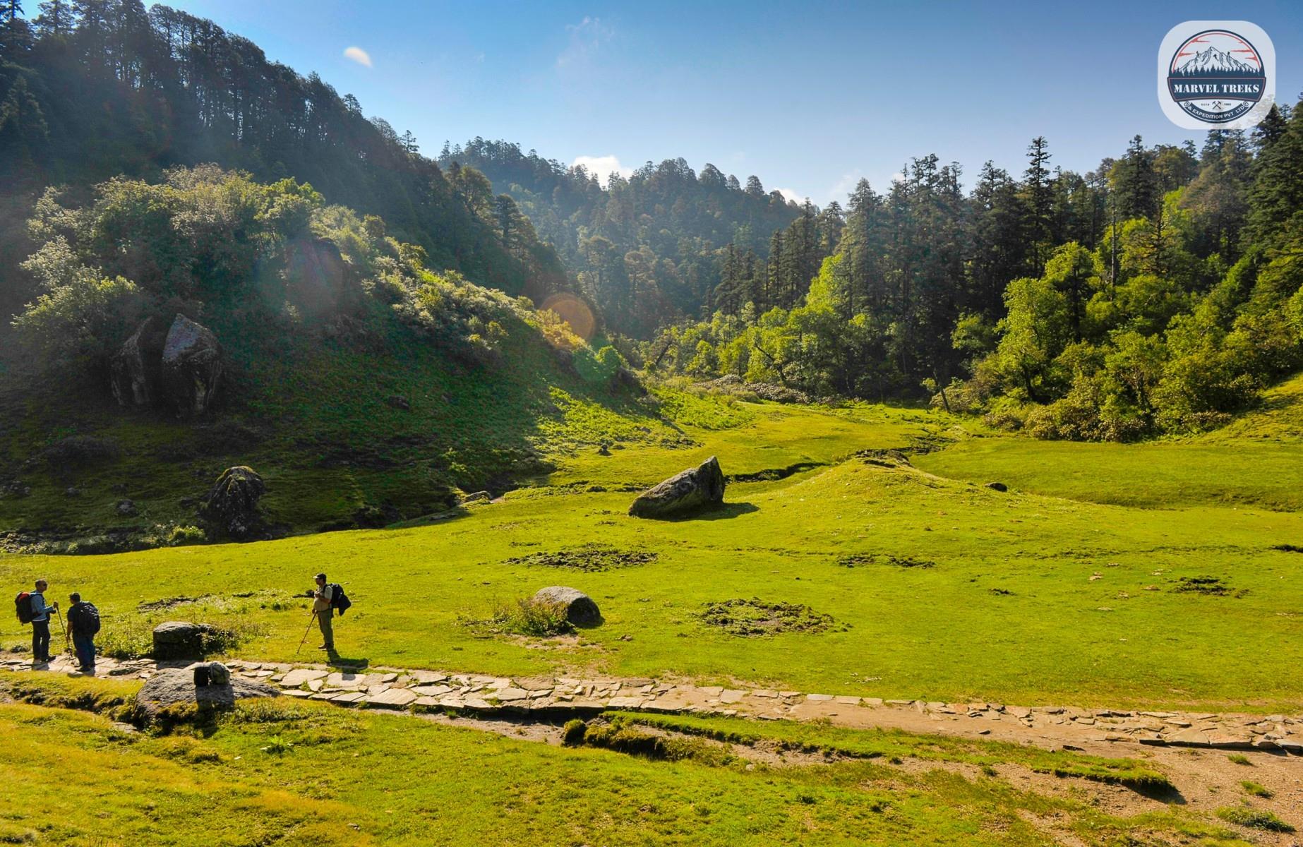 Excursión al Parque Nacional Khaptad: 11 días