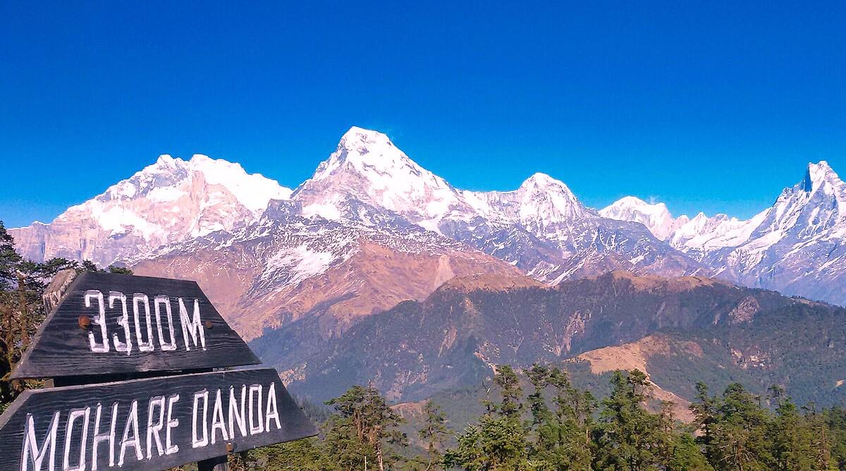 8-Day-Trek-to-Mohare-Danda-2