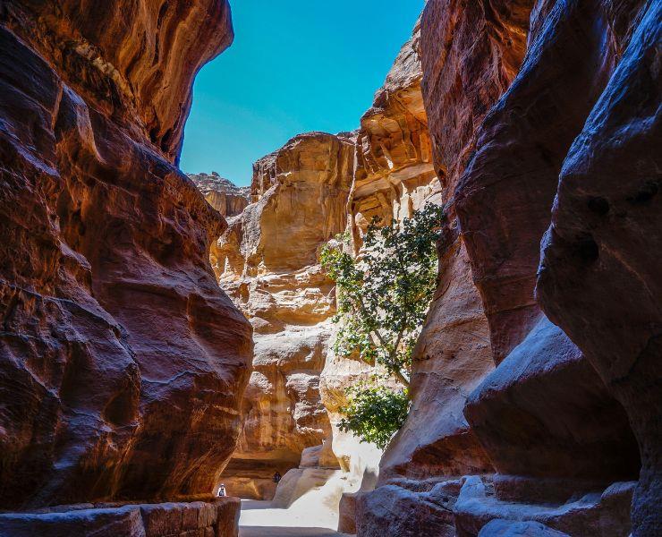 Excursion-de-dia-completo-a-Petra-desde-Amman-2
