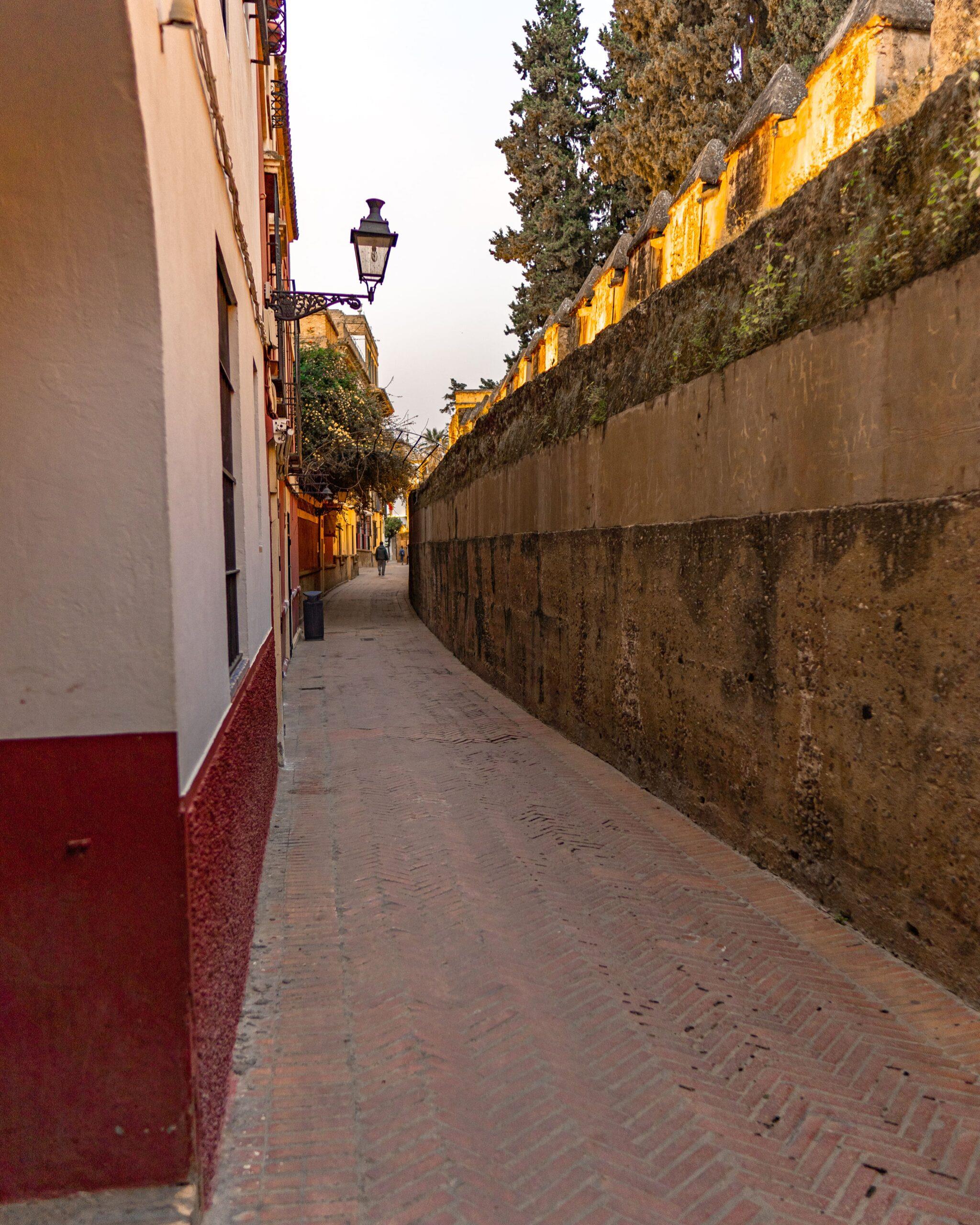 Freetour-The-Seville-Jewish-Quarter:-Santa-Cruz-1