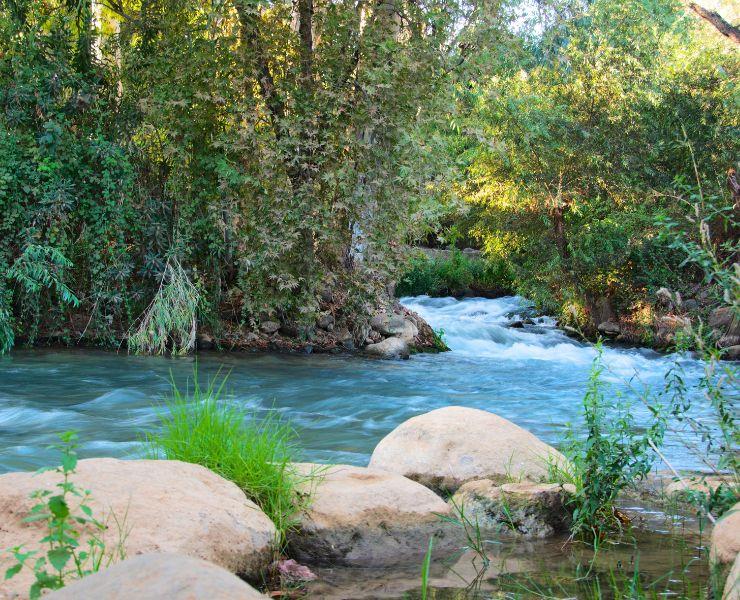 Excursion-to-Jordan-River,-Madaba-and-Mount-Nebo-1