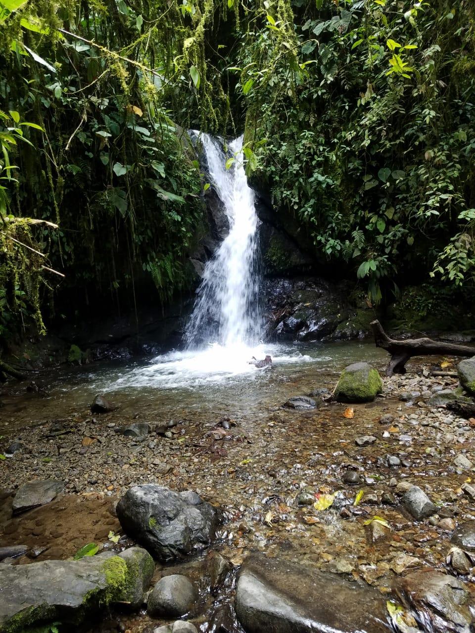 Mindo-Waterfalls-Day-Trip-5