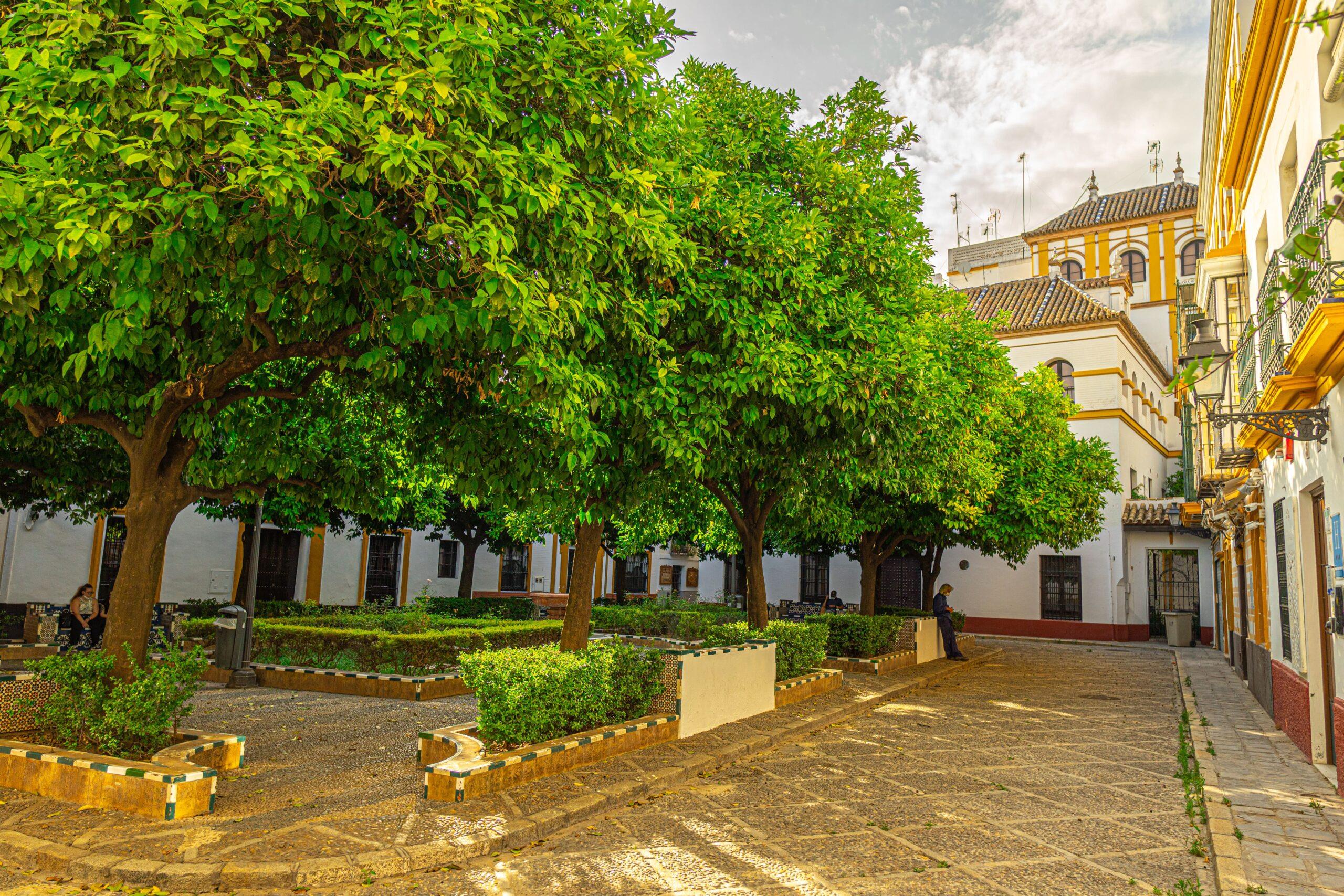 Freetour-The-Seville-Jewish-Quarter:-Santa-Cruz-9