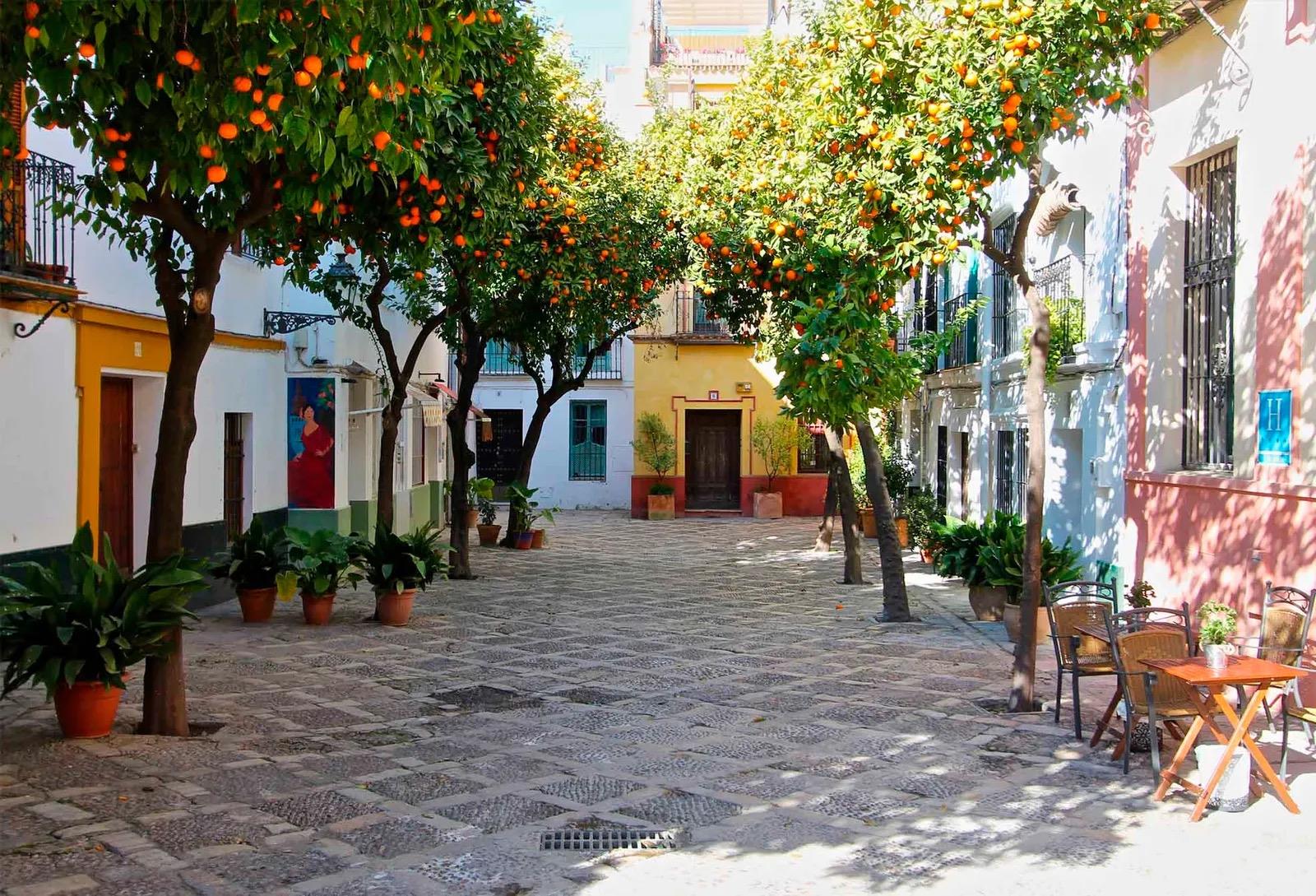 The-Jewish-quarter-of-Seville-Free-Tour-3