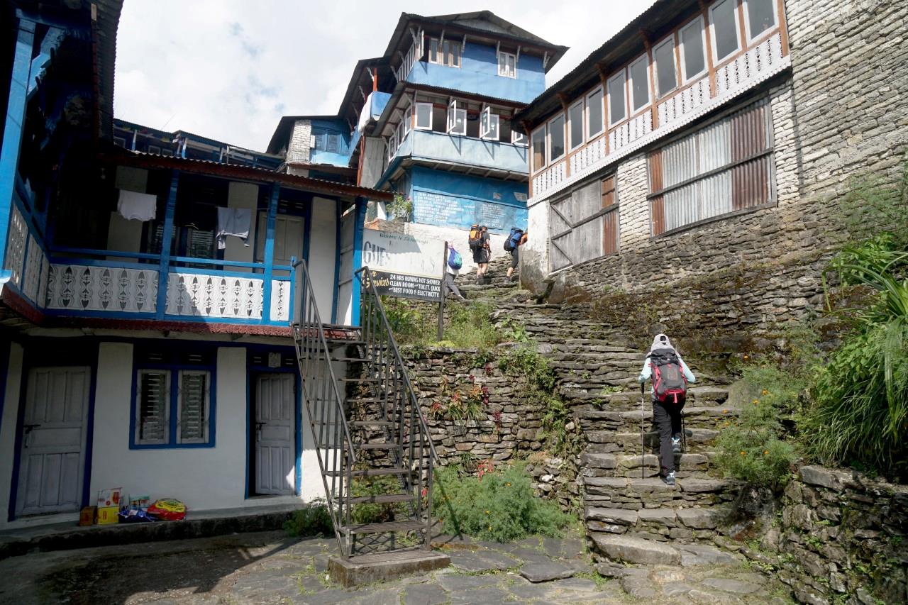 2 días de caminata por Poon Hill Pokhara