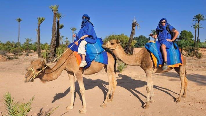camel-ride-in-the-palm-grove-of-marrakech-2