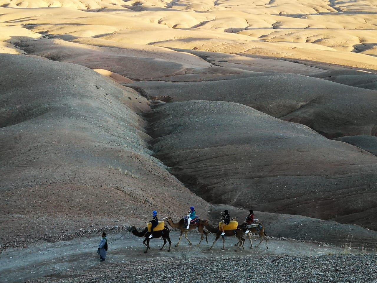 Camel-Ride-Experience-at-Agafay-Desert-with-dinner-10