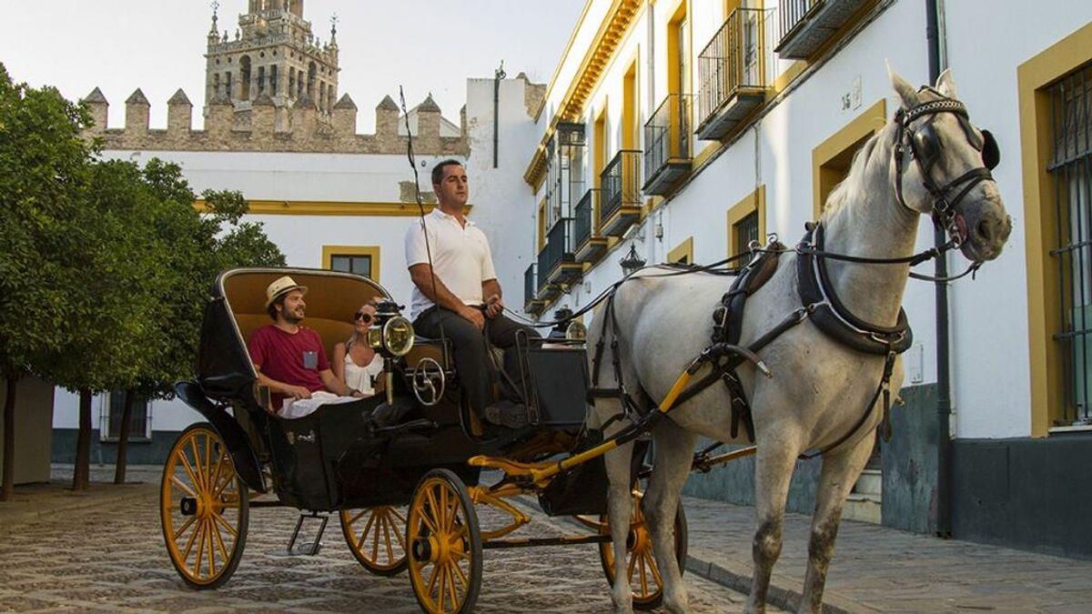 Horse-Carriage-Tour-in-Seville-1