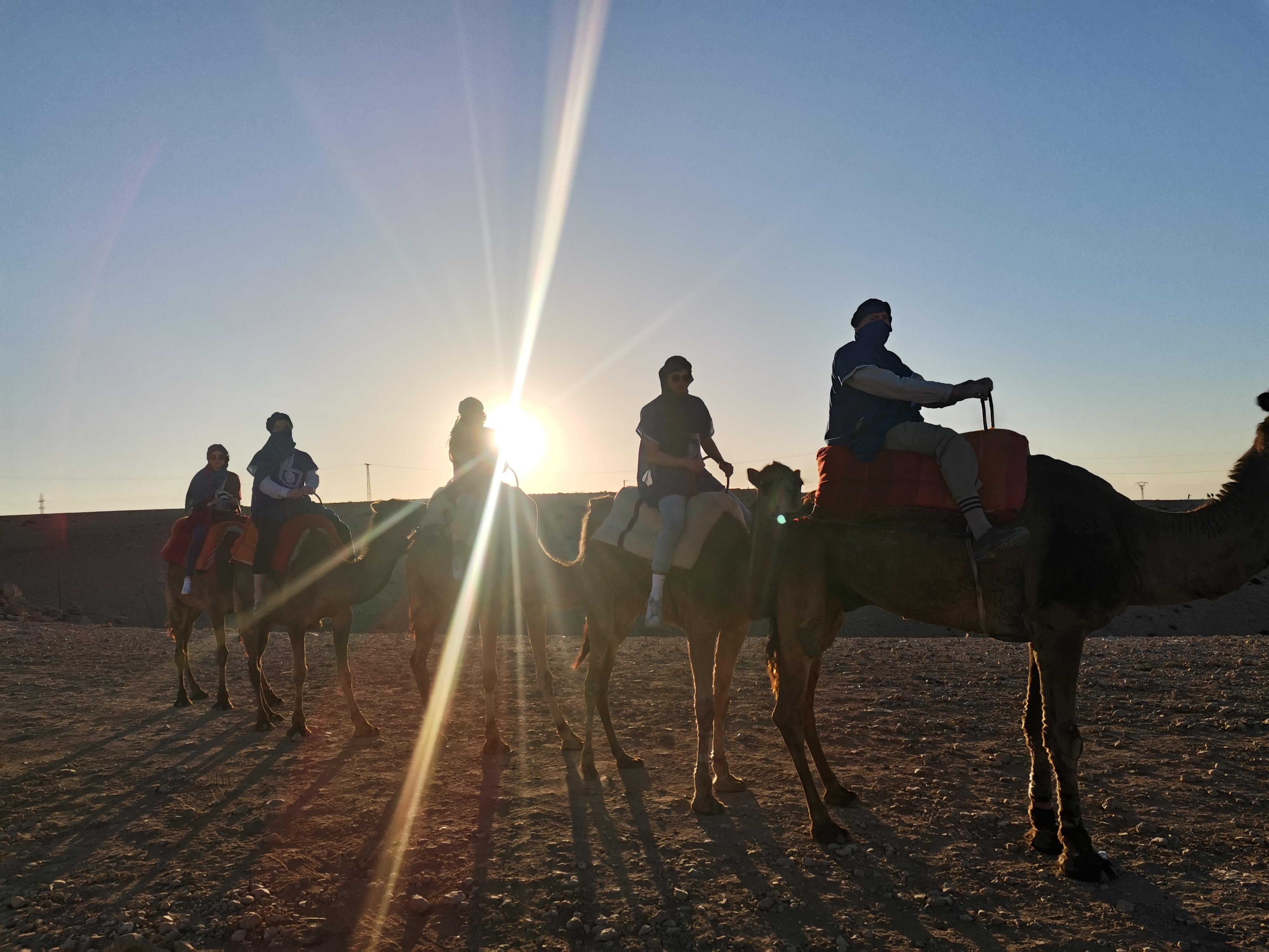 Experiencia en Camello por el Desierto de Agafay 