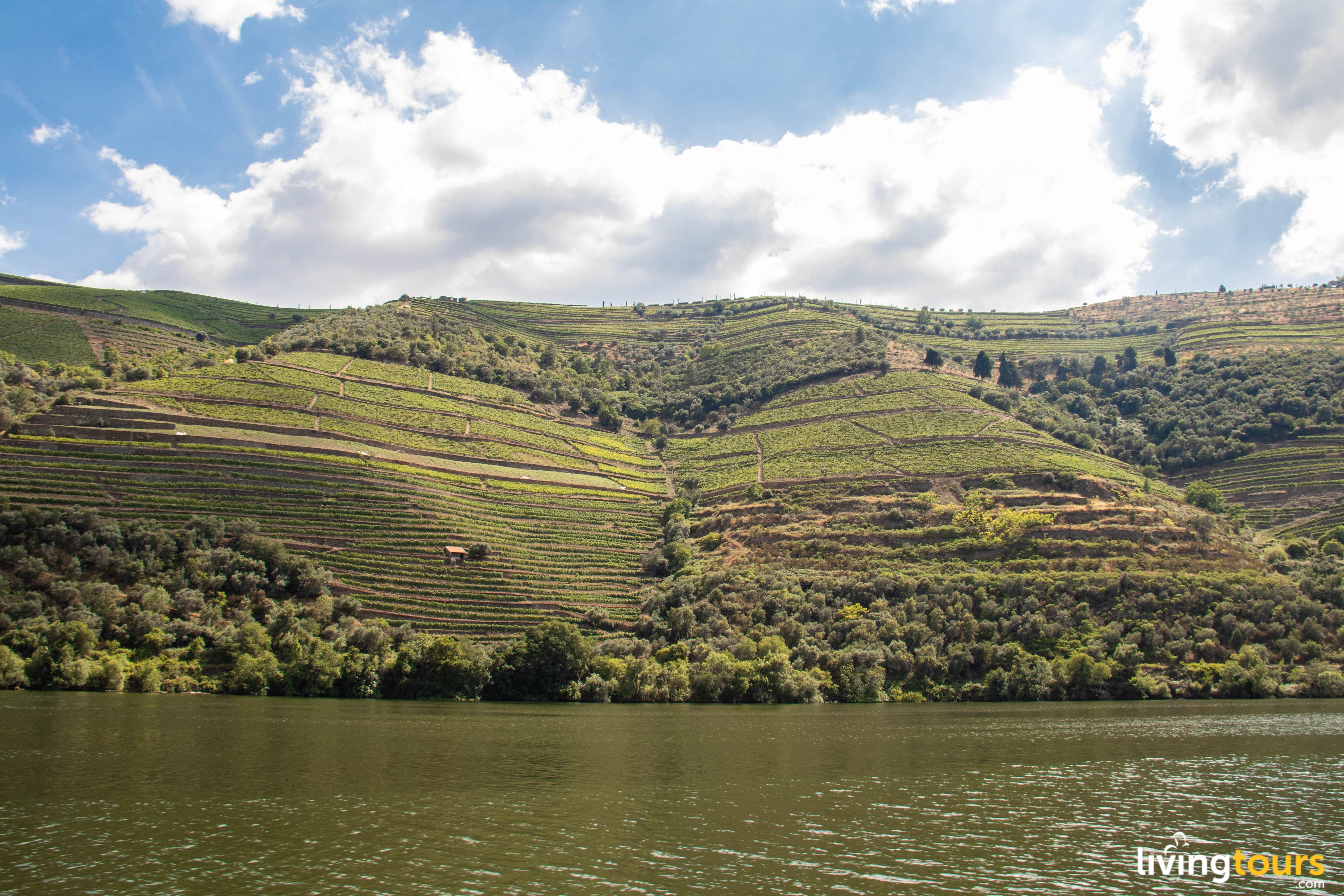 Douro-Historical-Tour-with-Winery,Cruise-and-Lunch-4