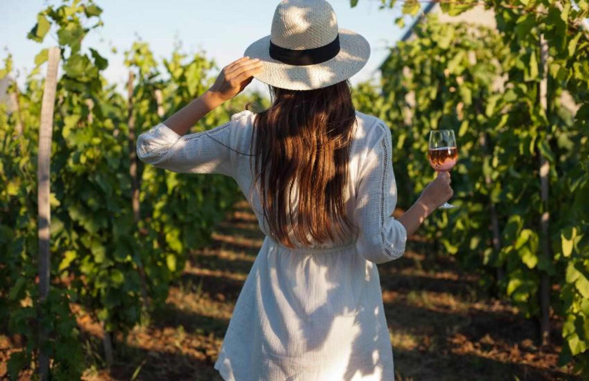 Dinner-in-the-Chianti-Vineyards-from-Siena-9