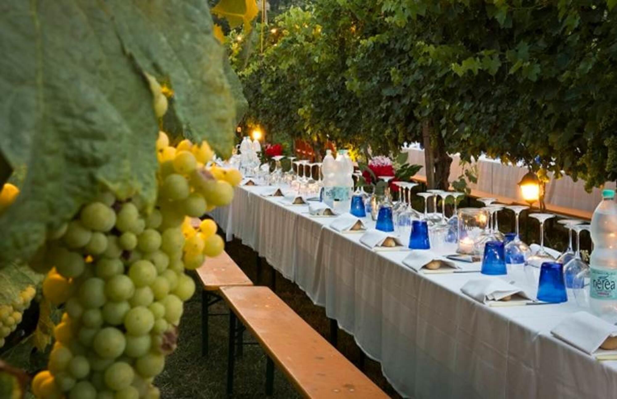 Dinner-in-the-Chianti-Vineyards-from-Siena-1